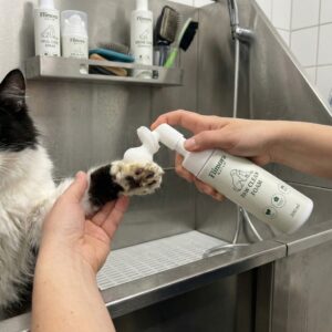 Čiščenje tačk za mačke - Naravna in premium kozmetika za pse in mačke